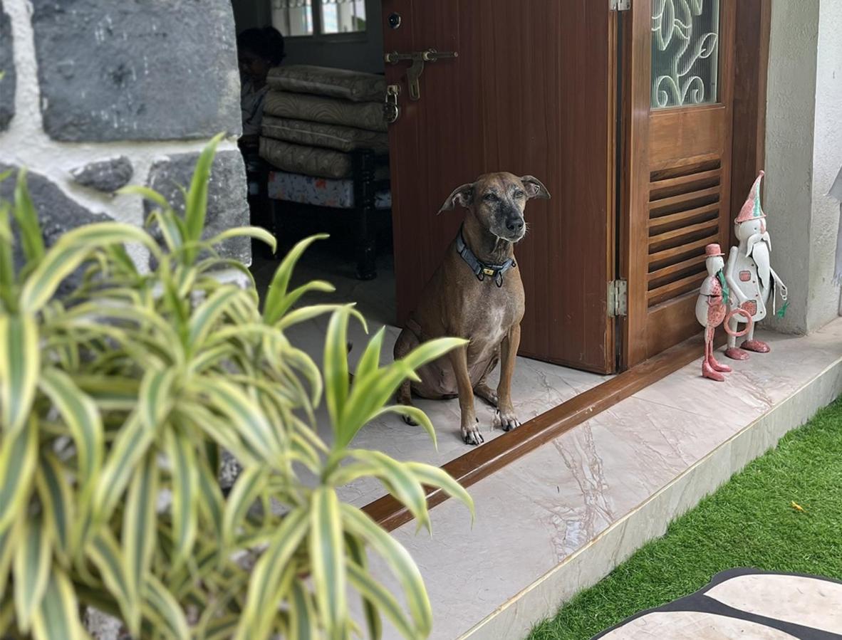 Angel House -Your Private Pet Friendly Haven Lonavala Εξωτερικό φωτογραφία